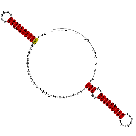 secondary structure