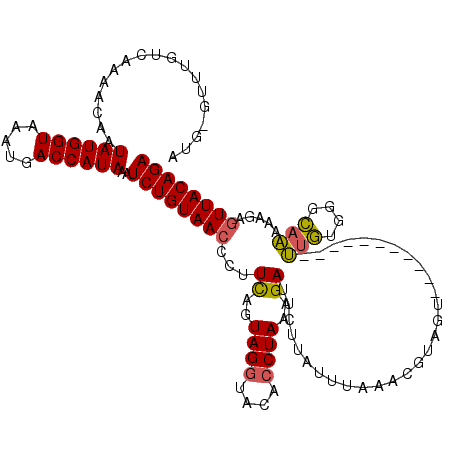 secondary structure