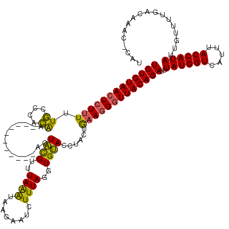 secondary structure