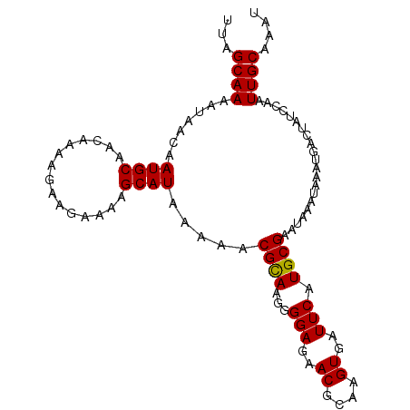 secondary structure