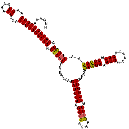 secondary structure