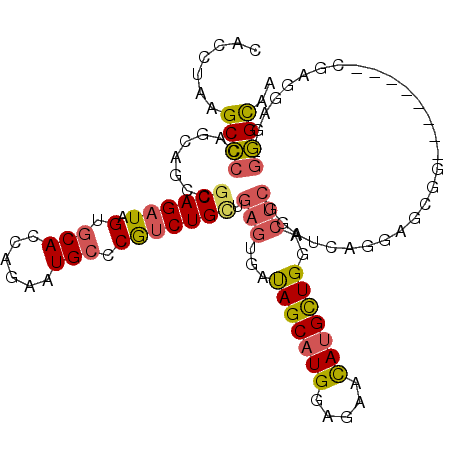 secondary structure