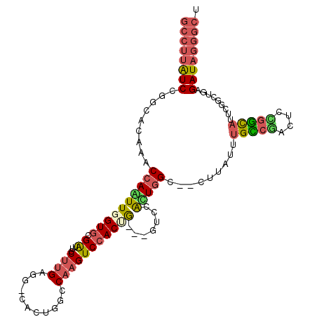 secondary structure