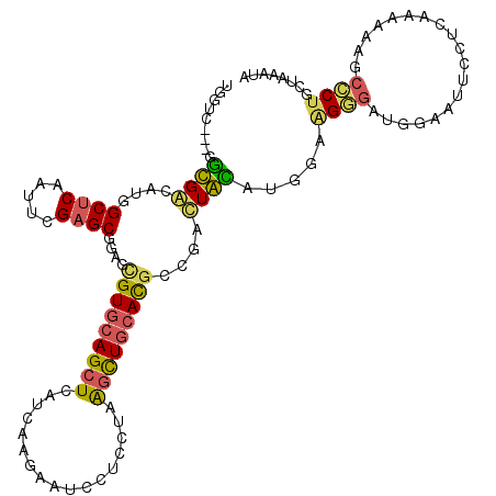 secondary structure