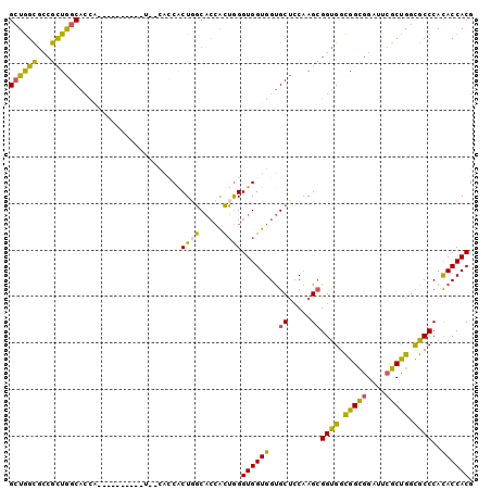 dotplot