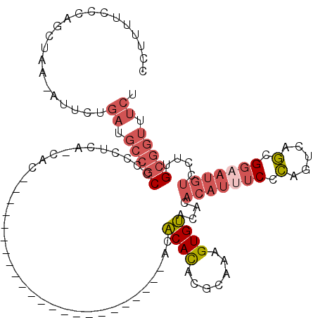 secondary structure
