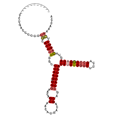 secondary structure