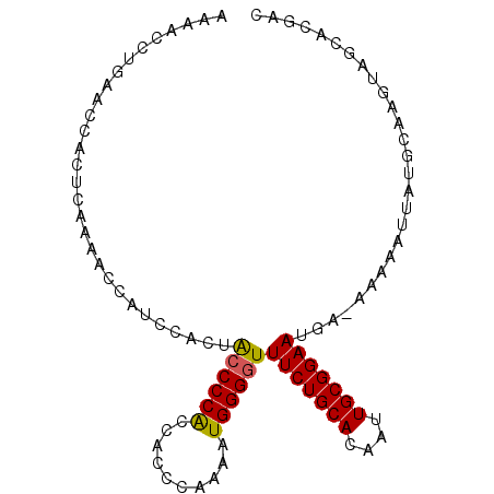 secondary structure