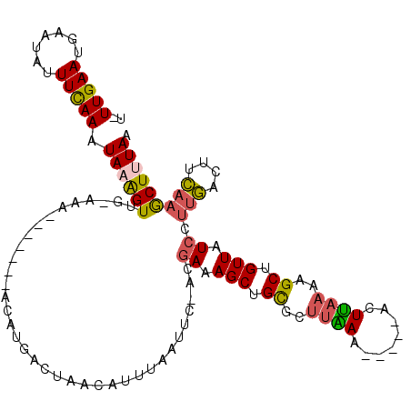 secondary structure