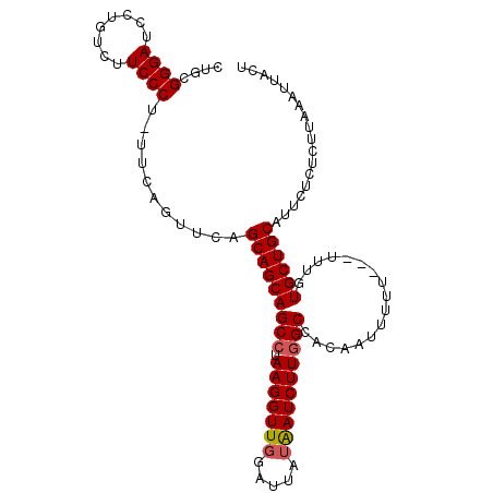 secondary structure