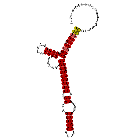 secondary structure