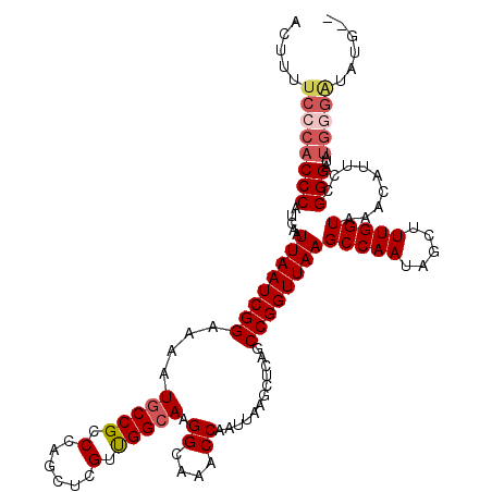 secondary structure