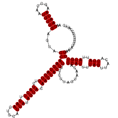 secondary structure
