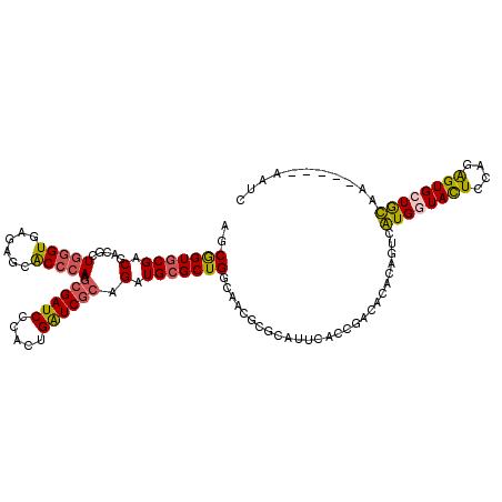 secondary structure