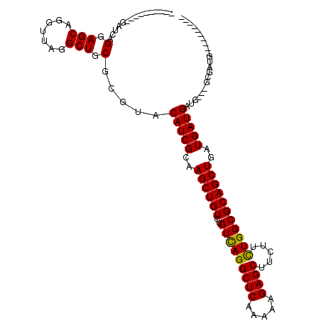 secondary structure