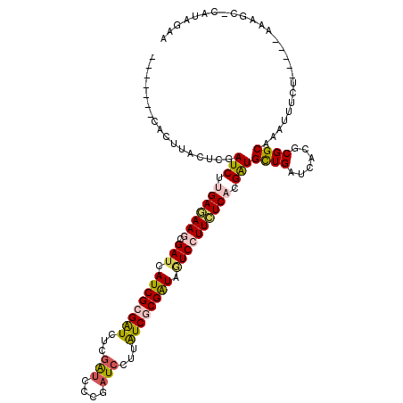 secondary structure