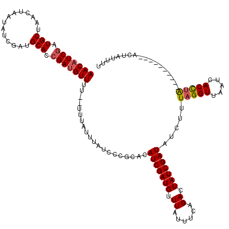 secondary structure
