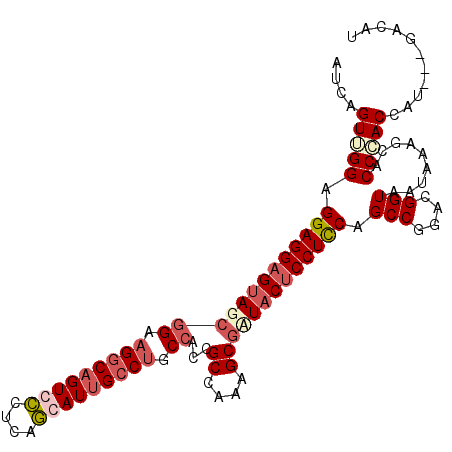 secondary structure