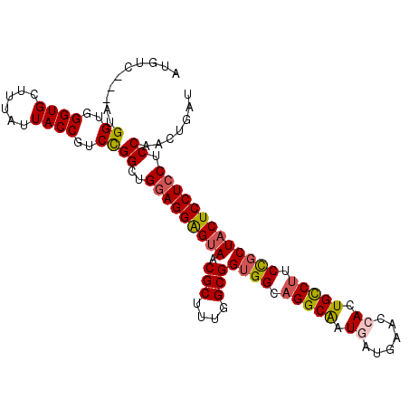 secondary structure