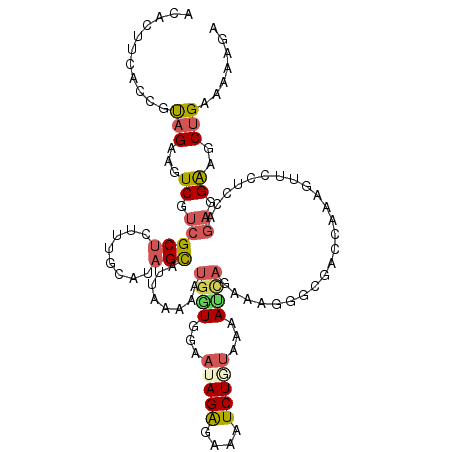 secondary structure
