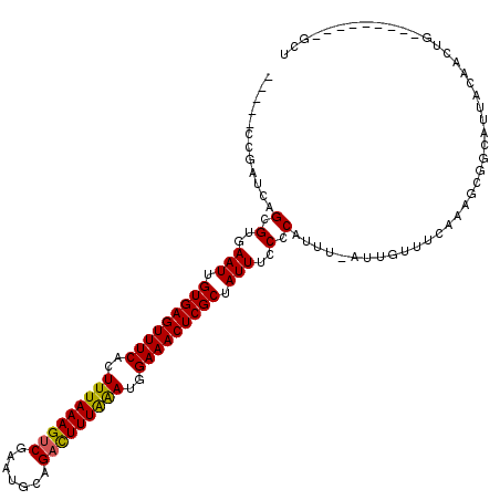 secondary structure