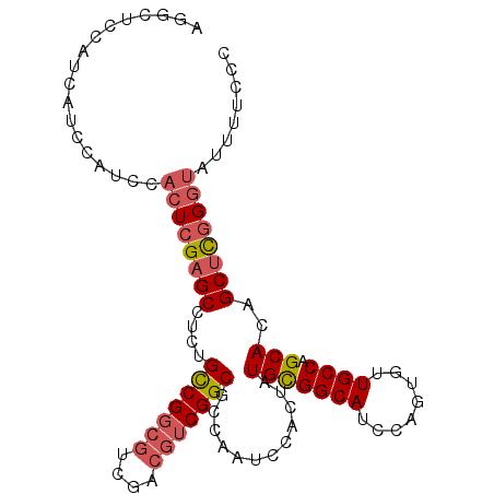 secondary structure