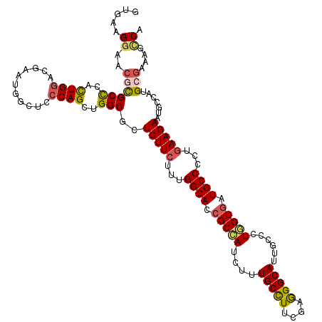 secondary structure