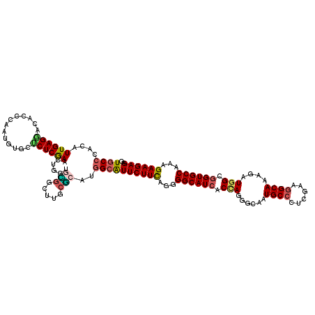 secondary structure