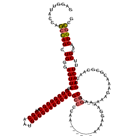 secondary structure