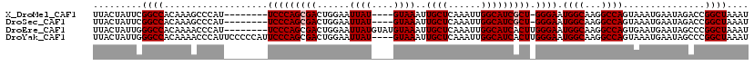 alignment