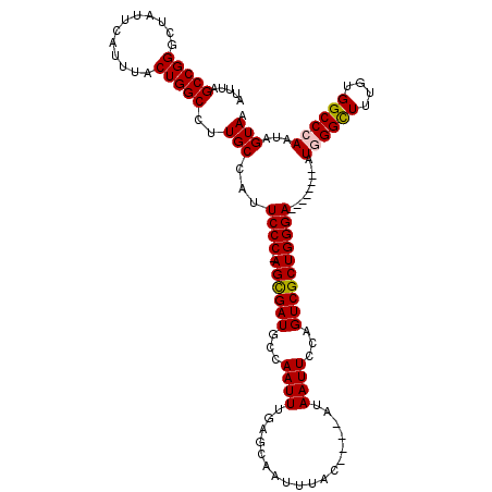 secondary structure