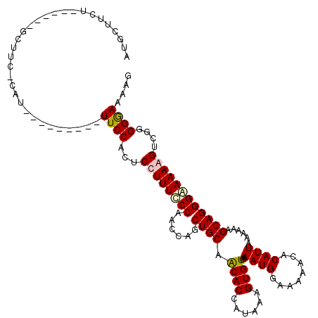 secondary structure