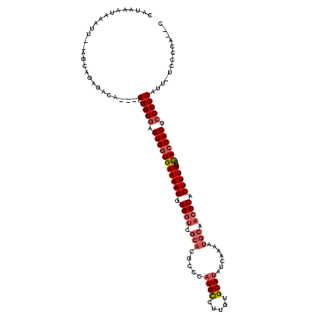 secondary structure