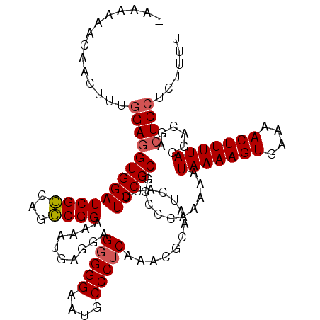 secondary structure