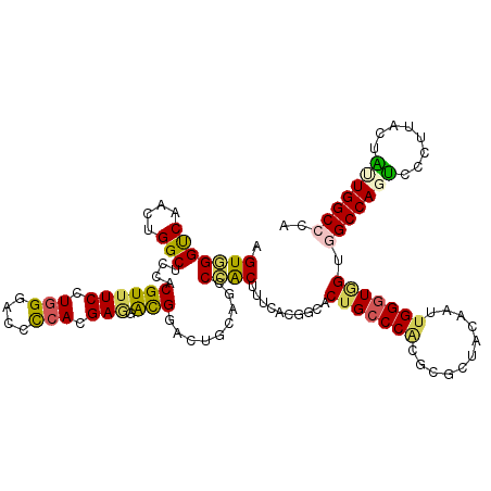 secondary structure