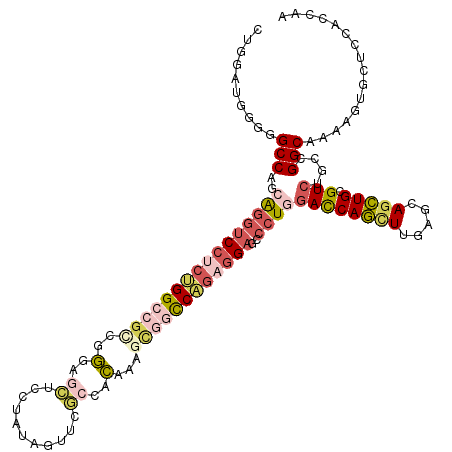 secondary structure