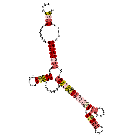 secondary structure