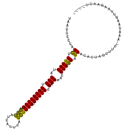 secondary structure