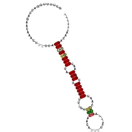 secondary structure