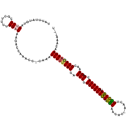 secondary structure