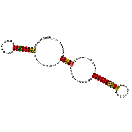 secondary structure