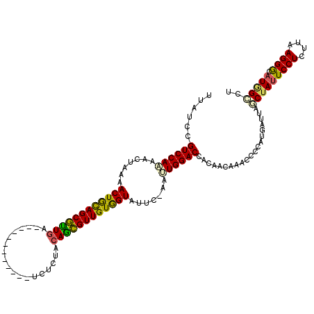 secondary structure