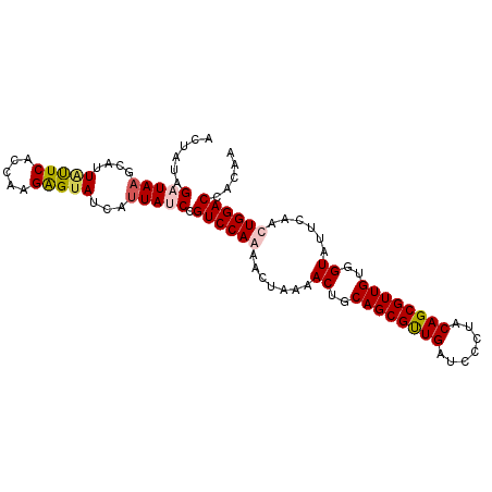 secondary structure