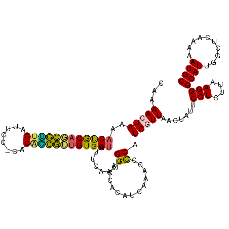 secondary structure