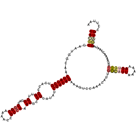 secondary structure