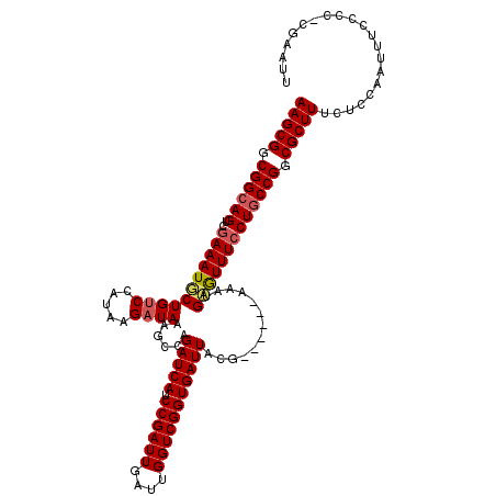 secondary structure