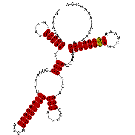 secondary structure