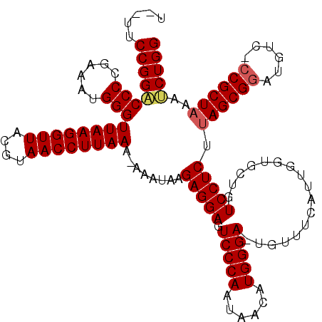 secondary structure