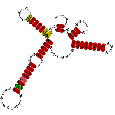 secondary structure