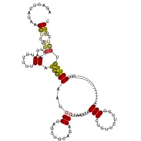 secondary structure